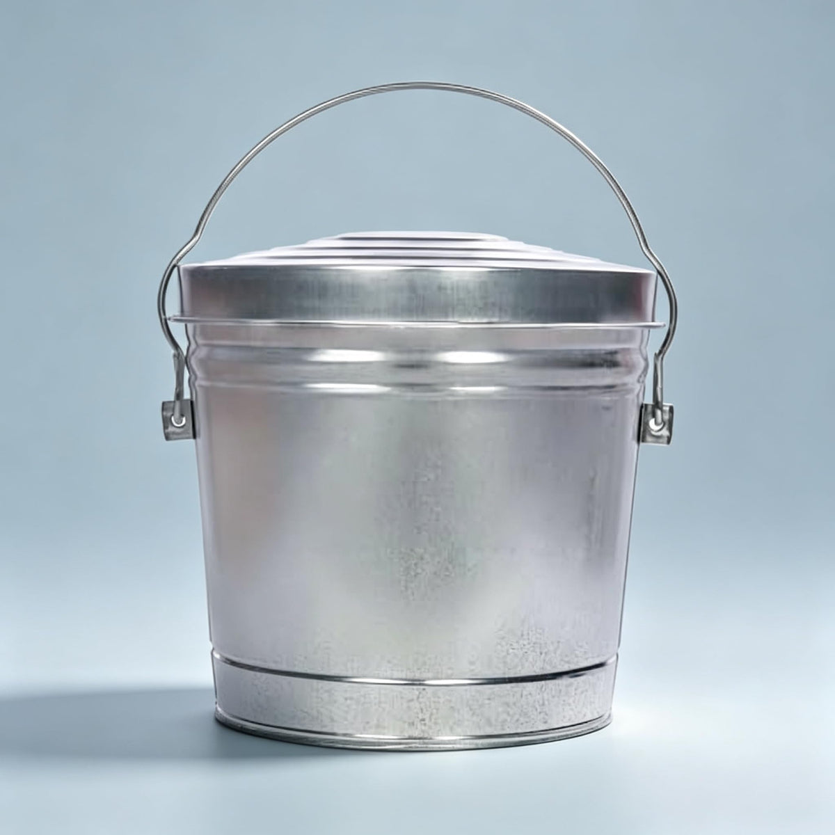 6 Gal Galvanized Metal Storage Can with Locking Lid C21852