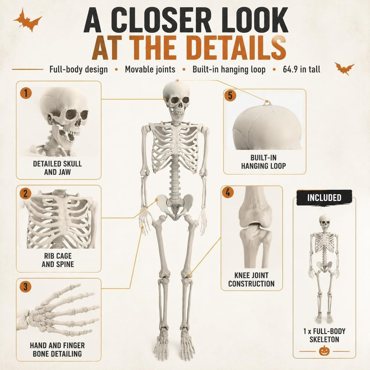 Life Size Posable Skeleton Prop Decoration C59605