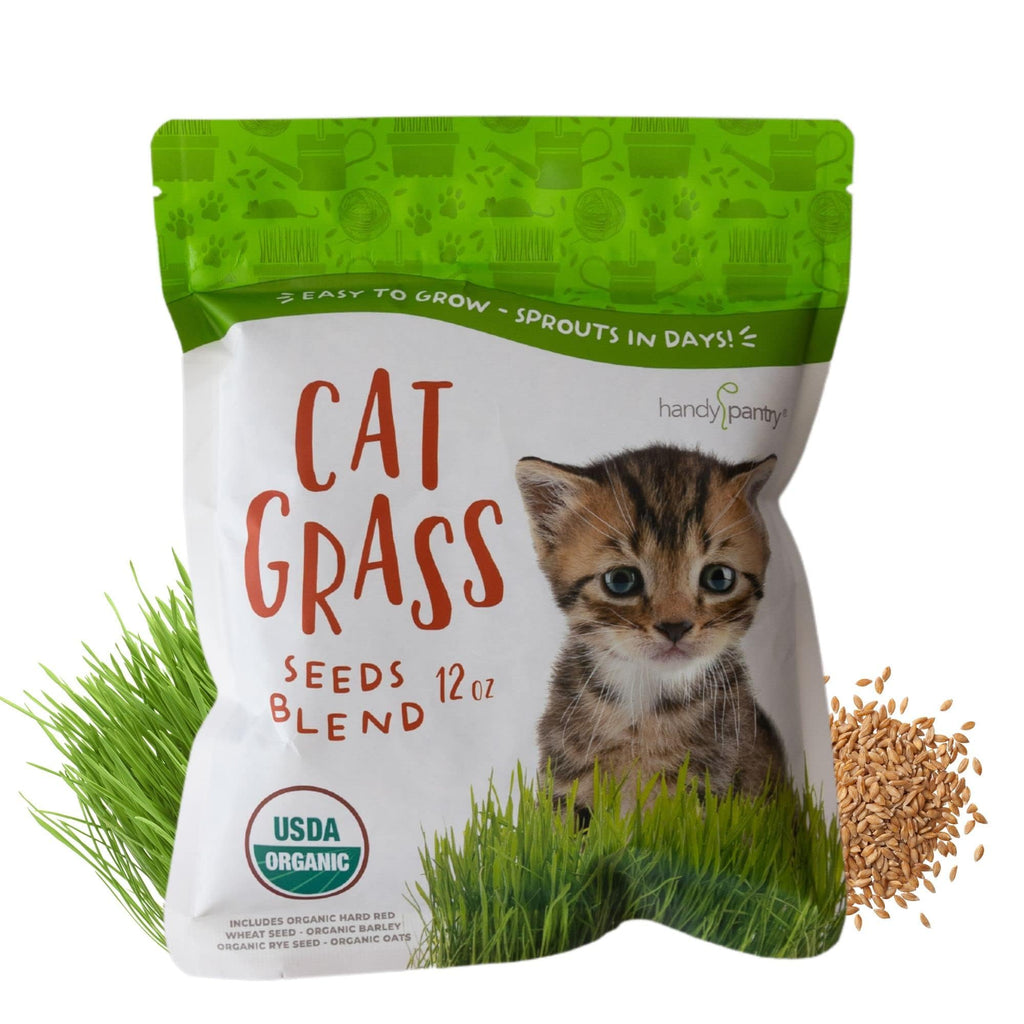 Organic Cat Grass Seed Blend 12 oz G308718