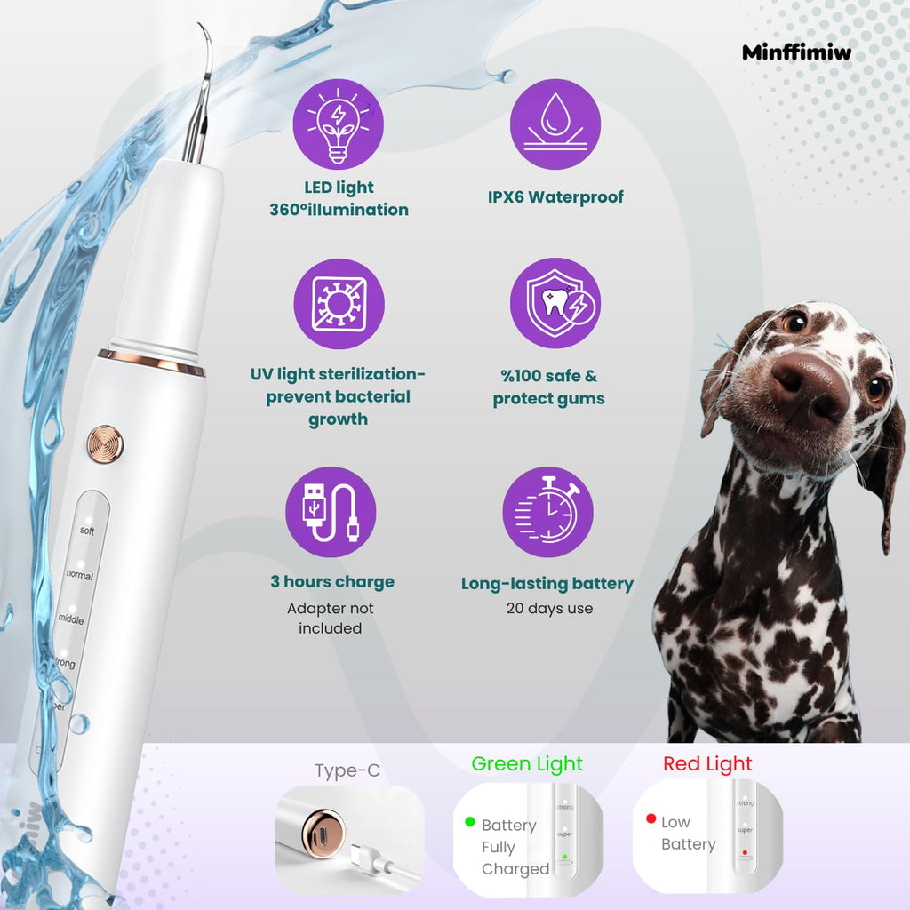 Dog Teeth Cleaning Kit with LED Light P89579
