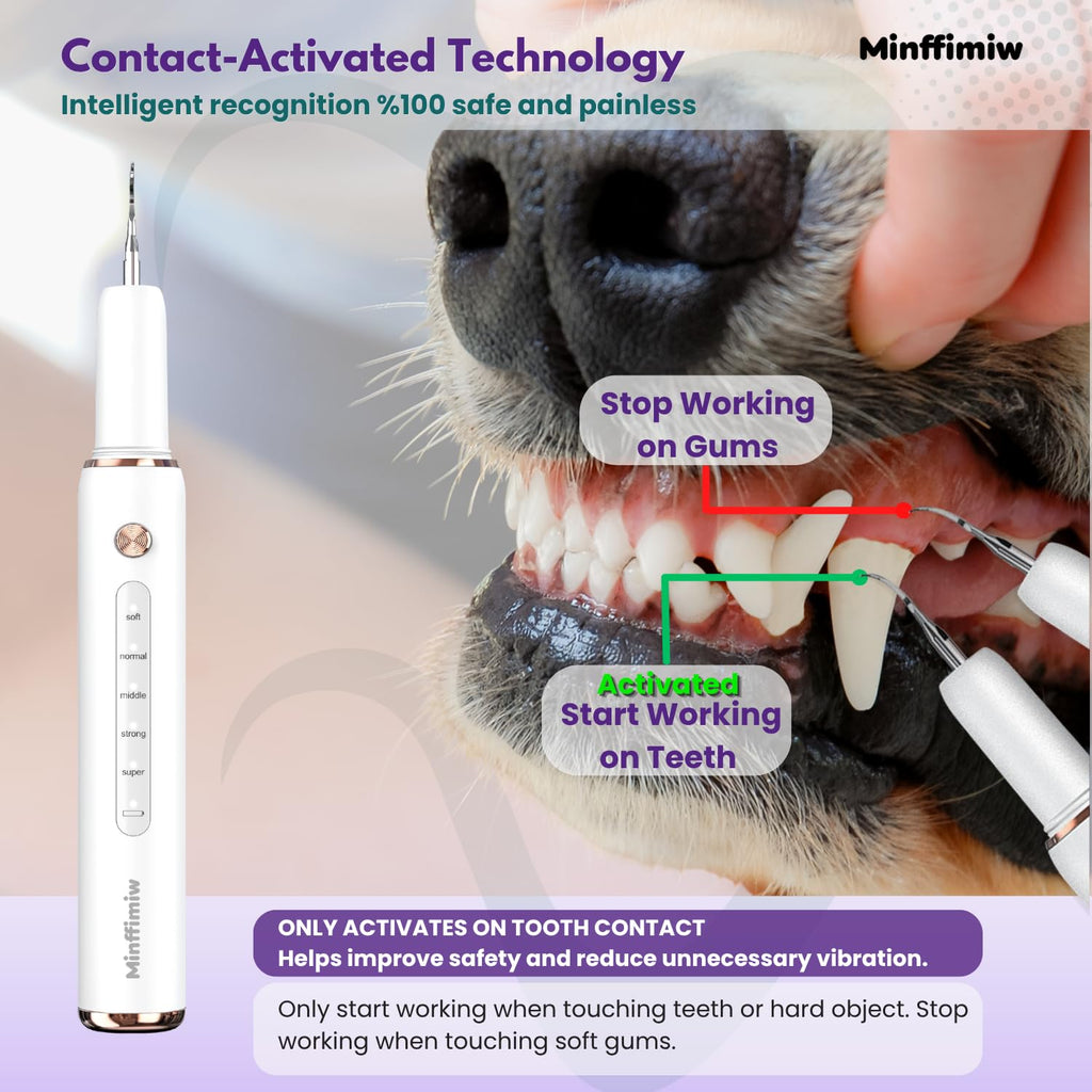 Dog Teeth Cleaning Kit with LED Light P89579