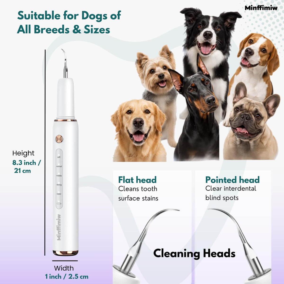 Dog Teeth Cleaning Kit with LED Light P89579
