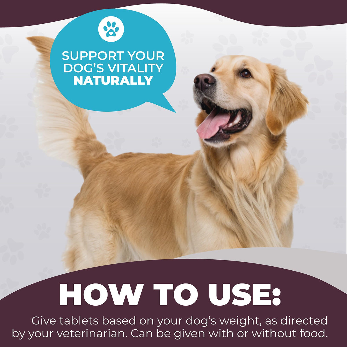 Dog Liver Supplement, 60 Tablet X839