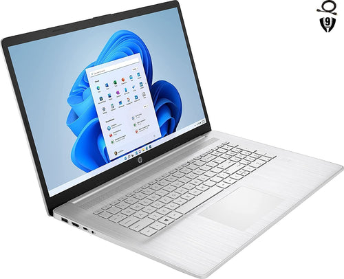 17.3" Full HD Laptop, AMD Ryzen 5, 8GB RAM, 512GB SSD, Natural Silver D6379