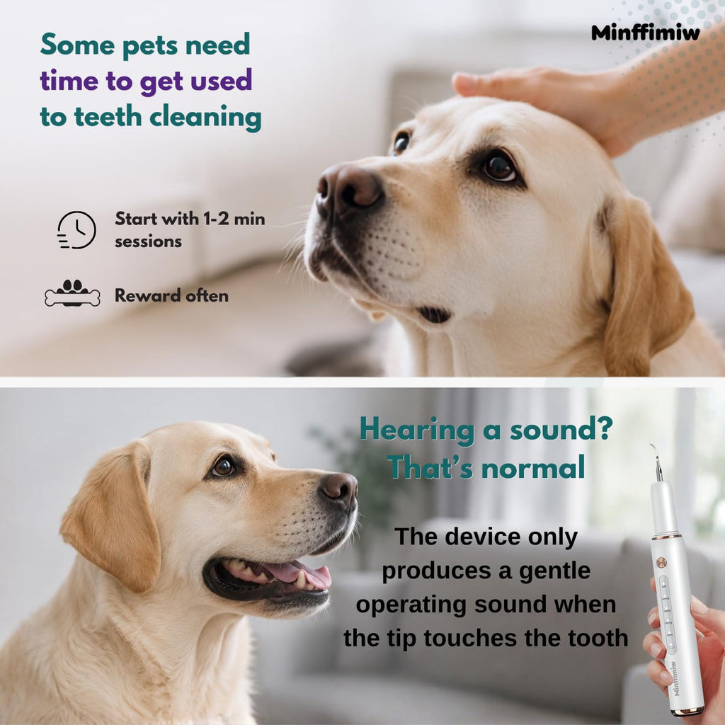 Dog Teeth Cleaning Kit with LED Light P89579