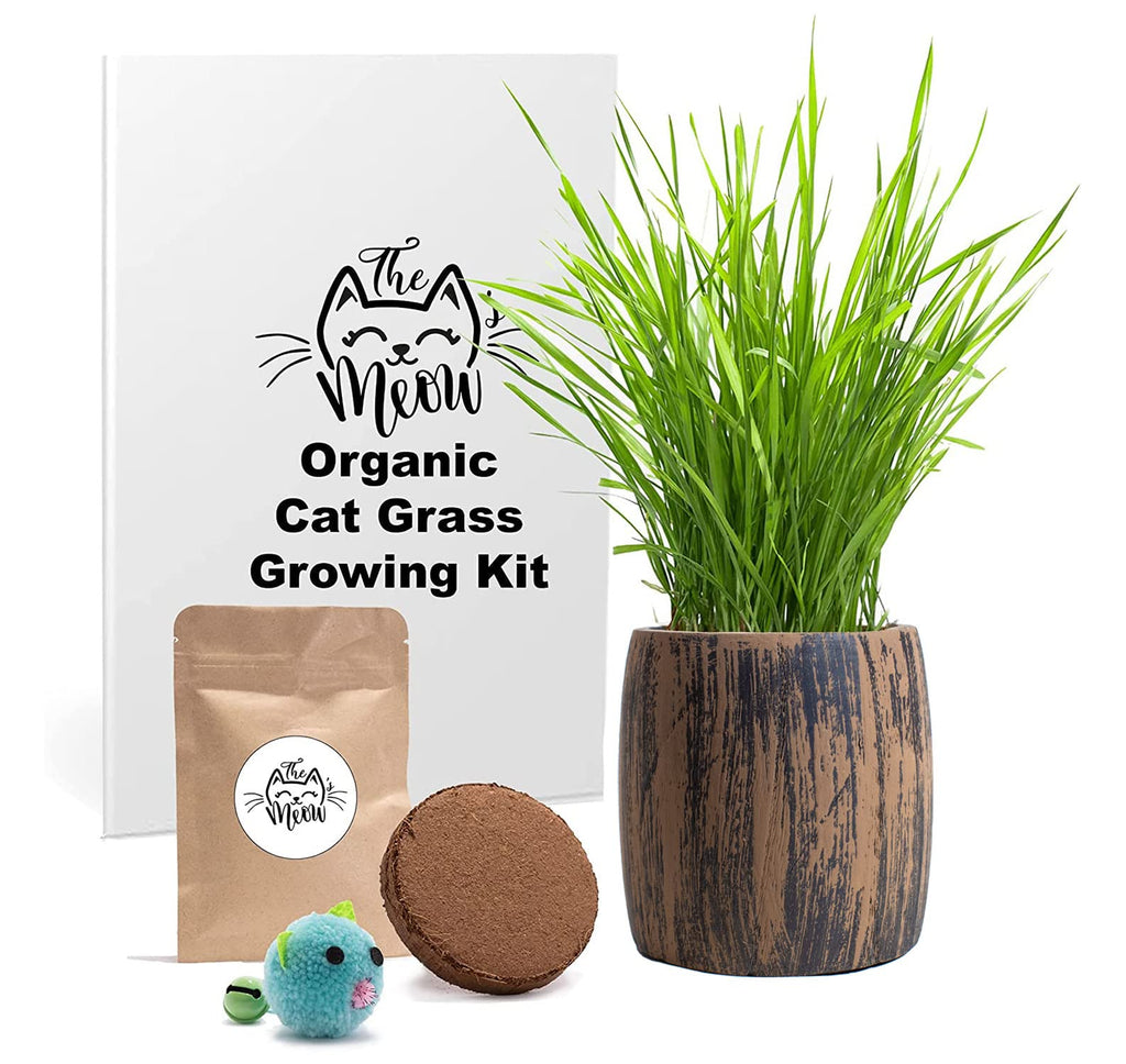 Cat Grass Kit Organic Seed & Soil for 4 Plantings T81136