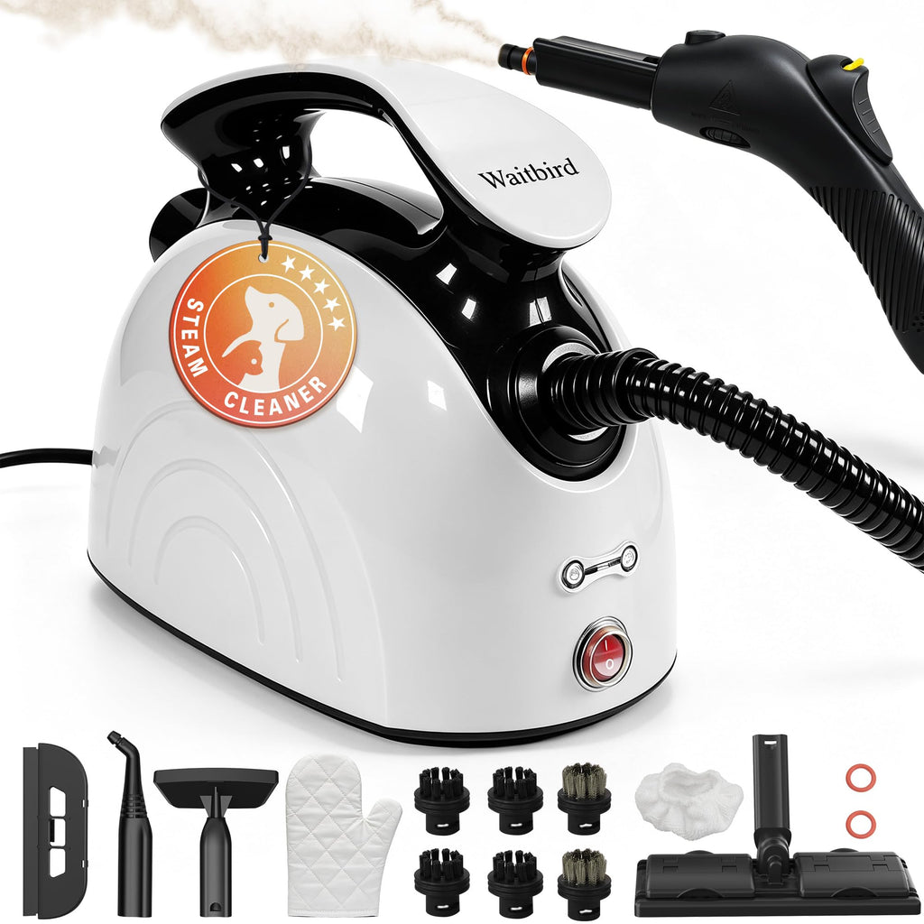 4.5 Bar 300°F Steam Cleaner L8263