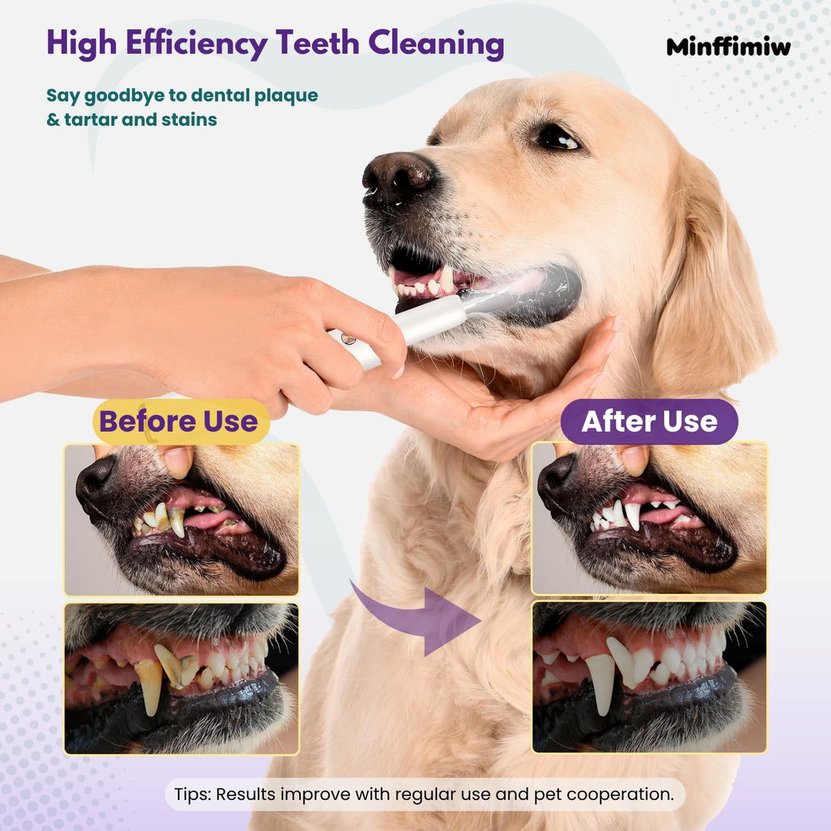 Dog Teeth Cleaning Kit with LED Light P89579