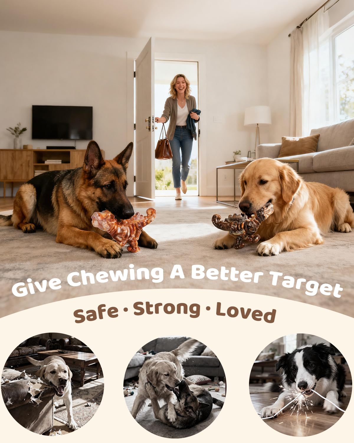 2-Pack Tough Dog Chew Toys F648776