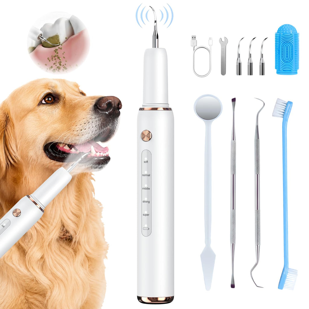 Dog Teeth Cleaning Kit with LED Light P89579