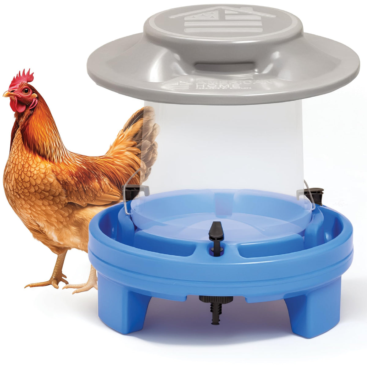 5 Gallon Chicken Waterer F189044