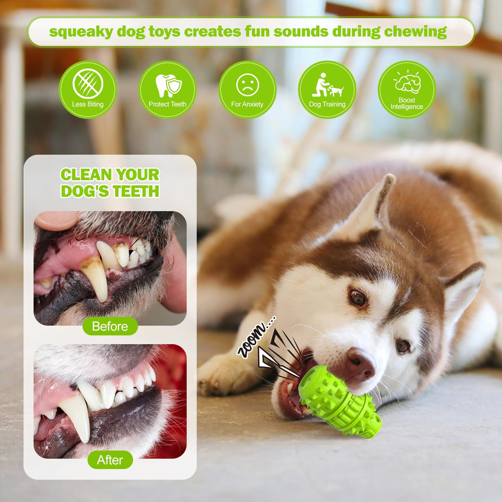 Natural Rubber Squeaky Dog Chew Toy B120049