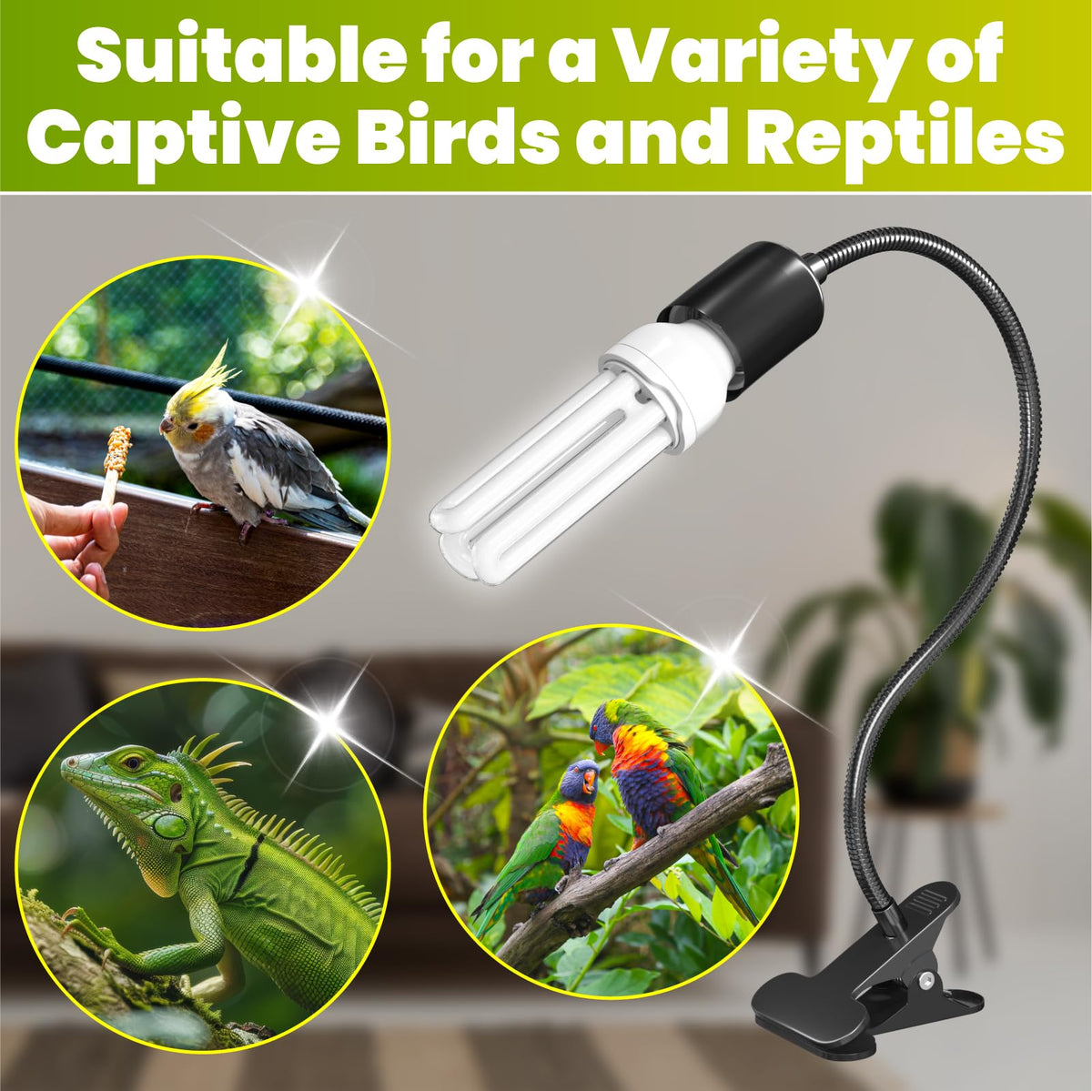 Bird Cage Lighting Combo Kit, Clip Lamp with UVB 2.4 20W Compact Fluorescent Bulb B2022