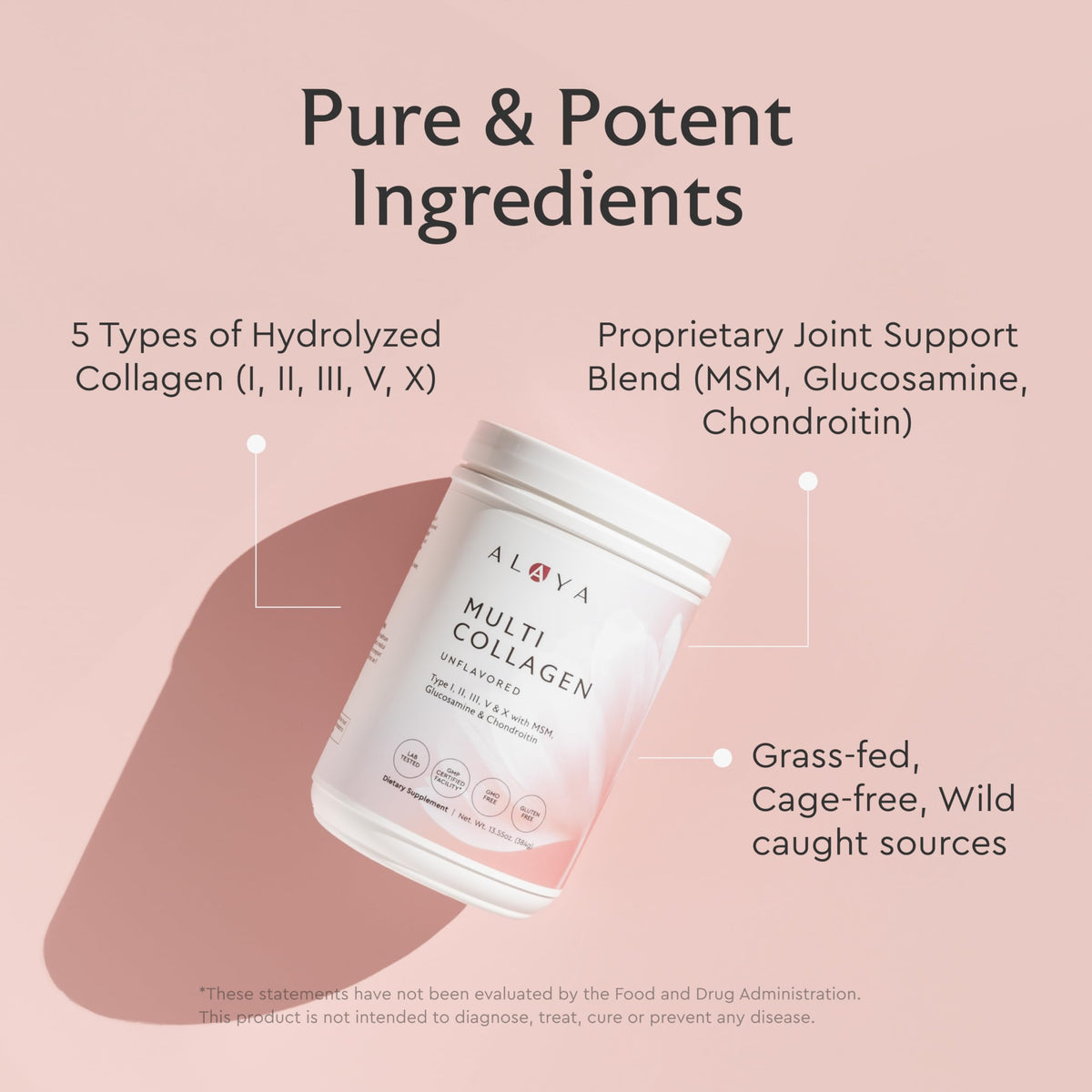 Multi Collagen Powder Type I II III V X Hydrolyzed Collagen Peptides MSM Unflavored 40 Servings M6863