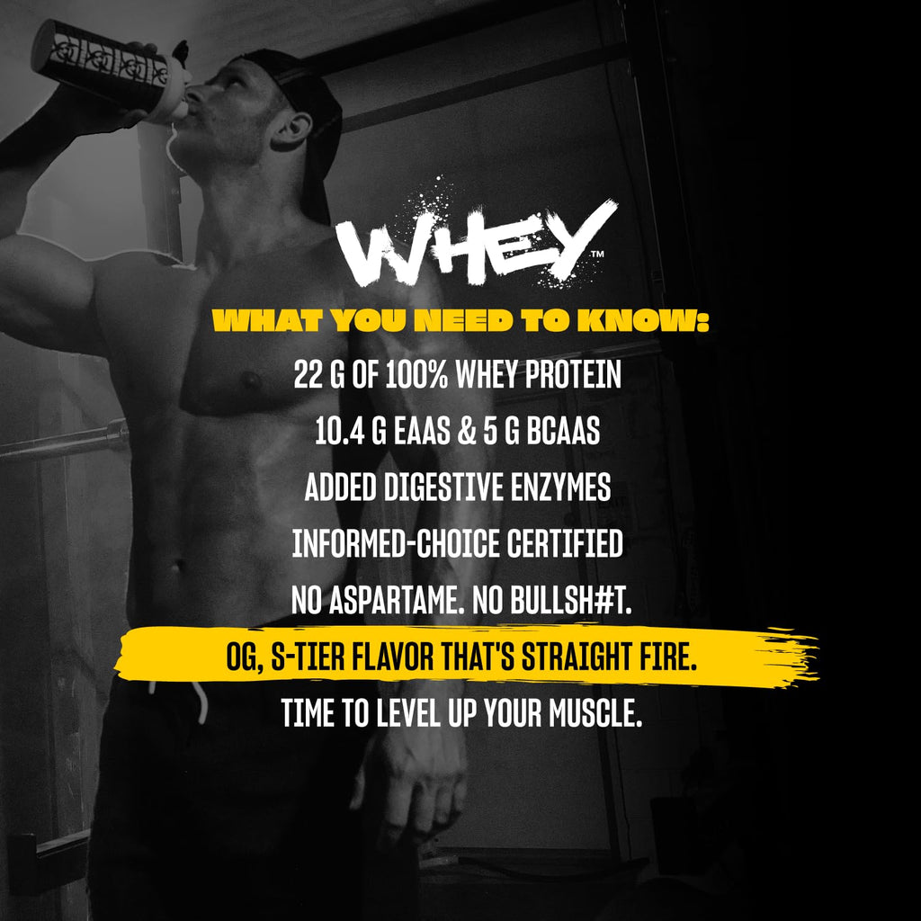 Whey Protein Powder Triple Chocolate 5 lb B67269