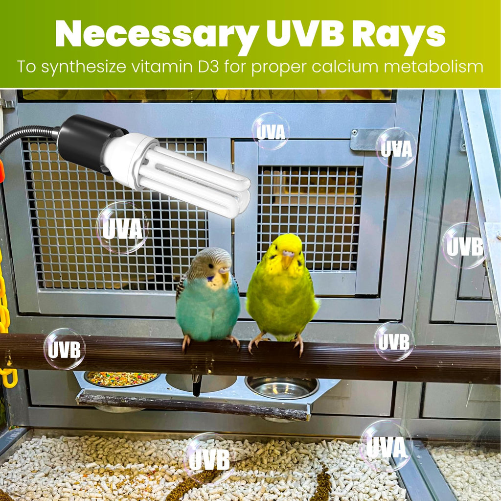 Bird Cage Lighting Combo Kit, Clip Lamp with UVB 2.4 20W Compact Fluorescent Bulb B2022