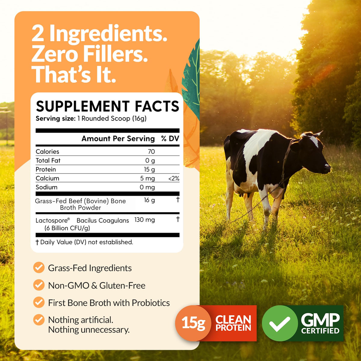 100% Grass-Fed Beef Bone Broth Powder with Probiotics Collagen 15g Protein Y600