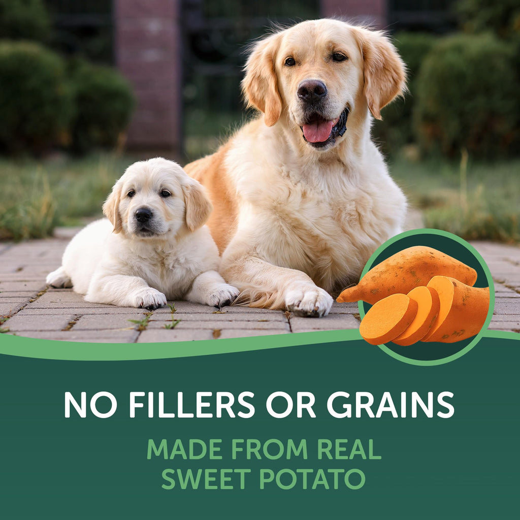 Dried Sweet Potato Slices Dog Treats 16 oz W115702