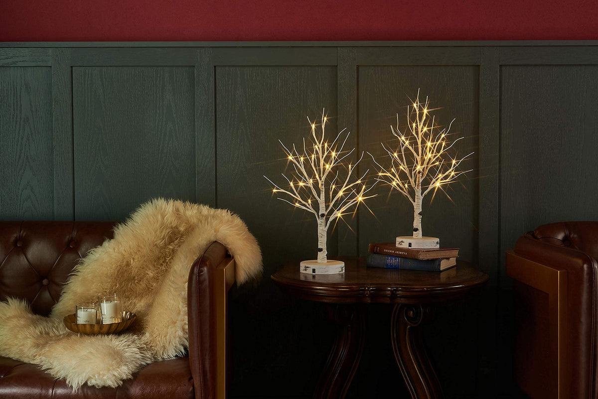 Lighted Birch Tree with Timer 18IN 24 LED H298435