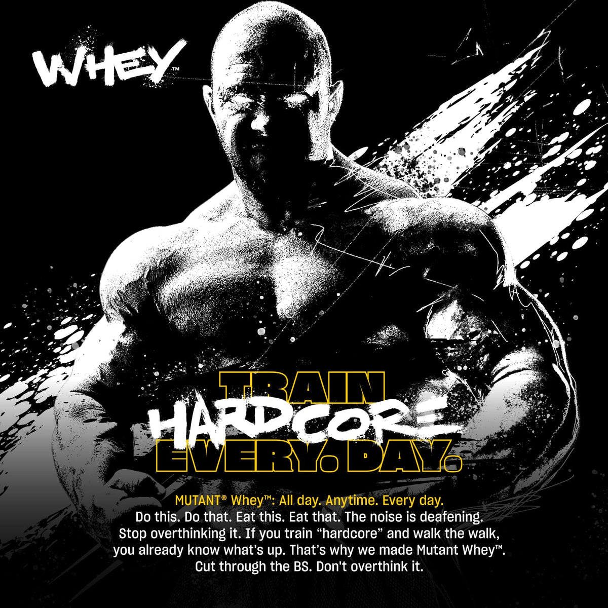 Whey Protein Powder Triple Chocolate 5 lb B67269
