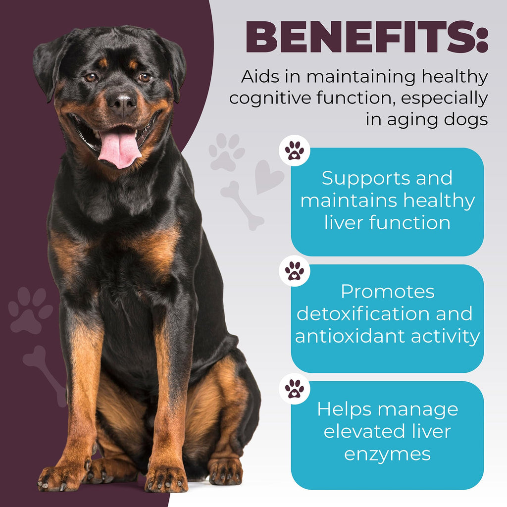 Dog Liver Supplement, 60 Tablet X839