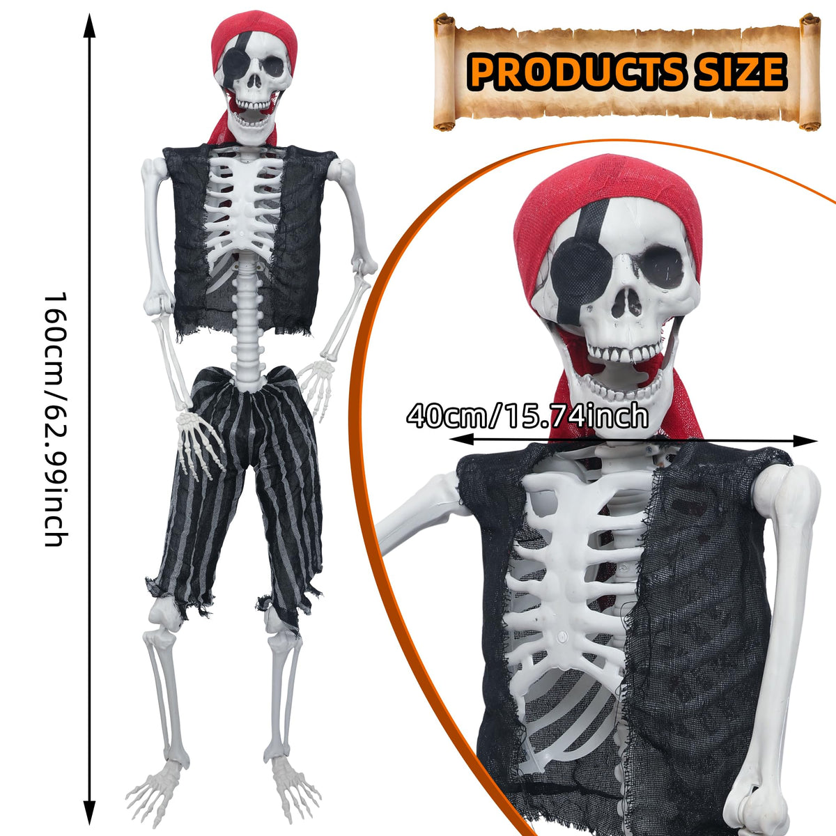 5.4ft Posable Life Size Skeleton with Movable Joints U784