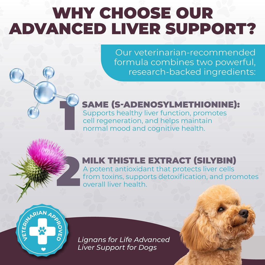 Dog Liver Supplement, 60 Tablet X839