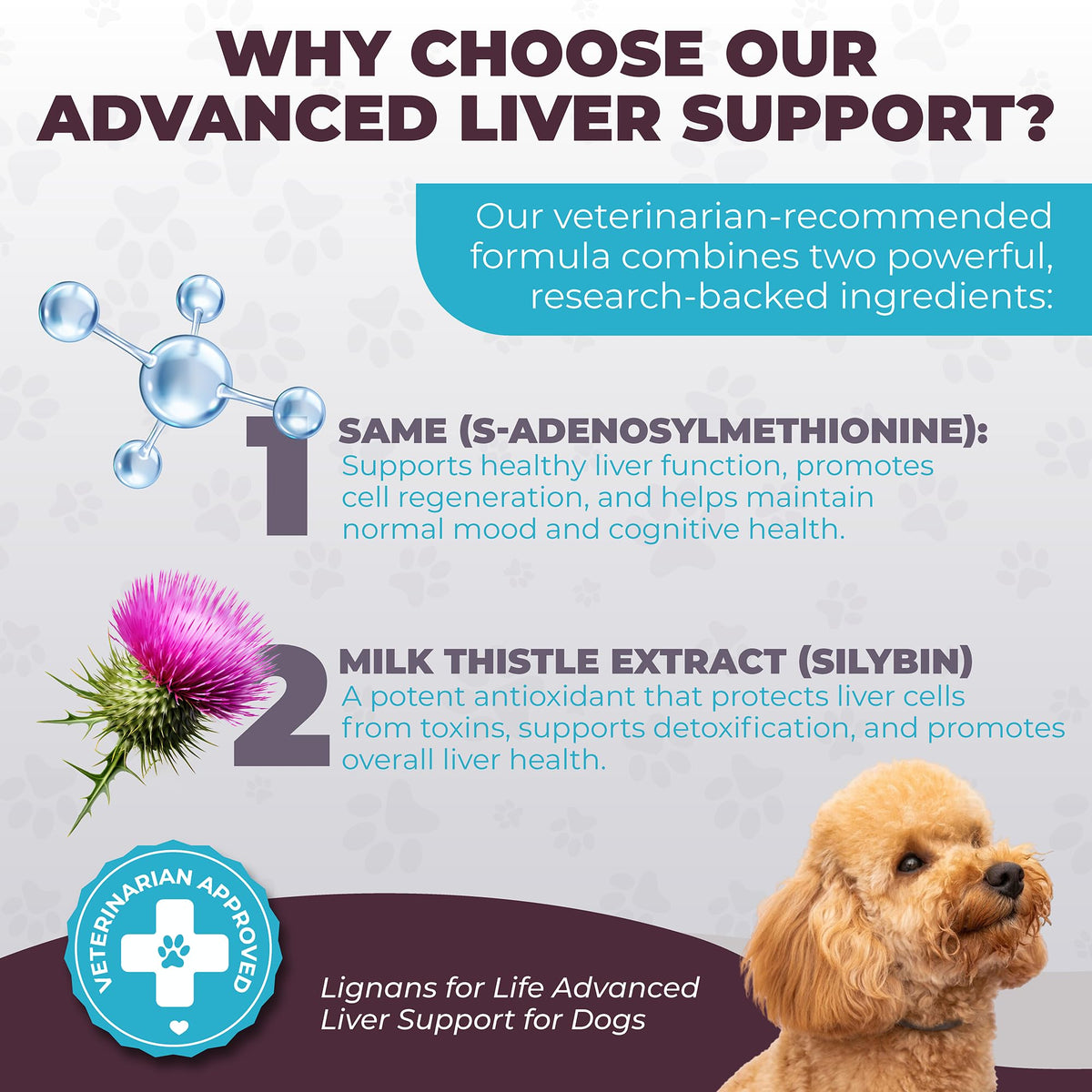 Dog Liver Supplement, 60 Tablet X839