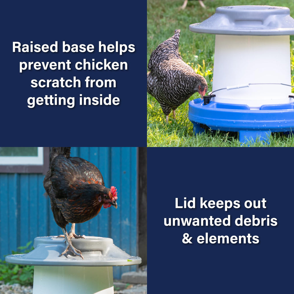 5 Gallon Chicken Waterer F189044
