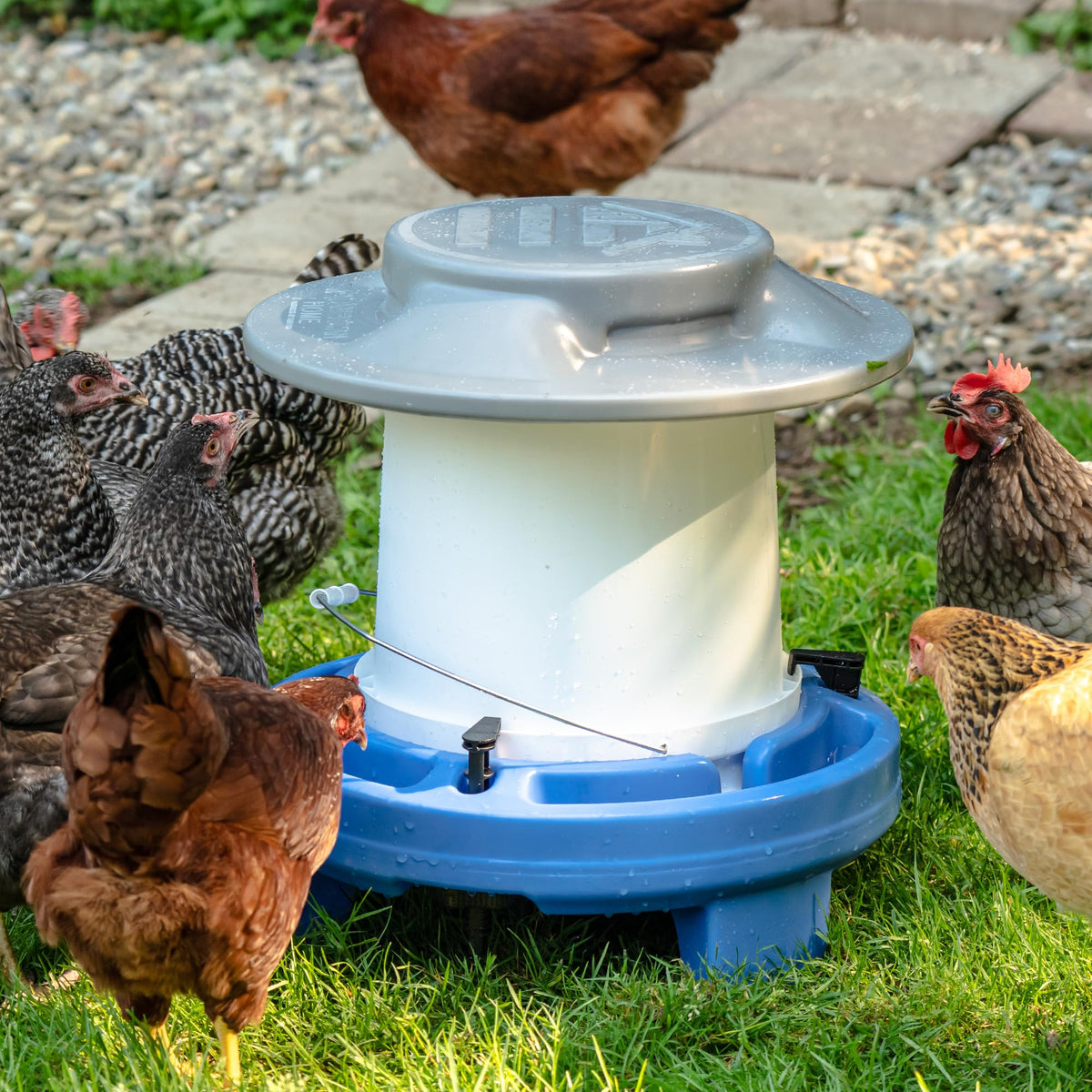 5 Gallon Chicken Waterer F189044