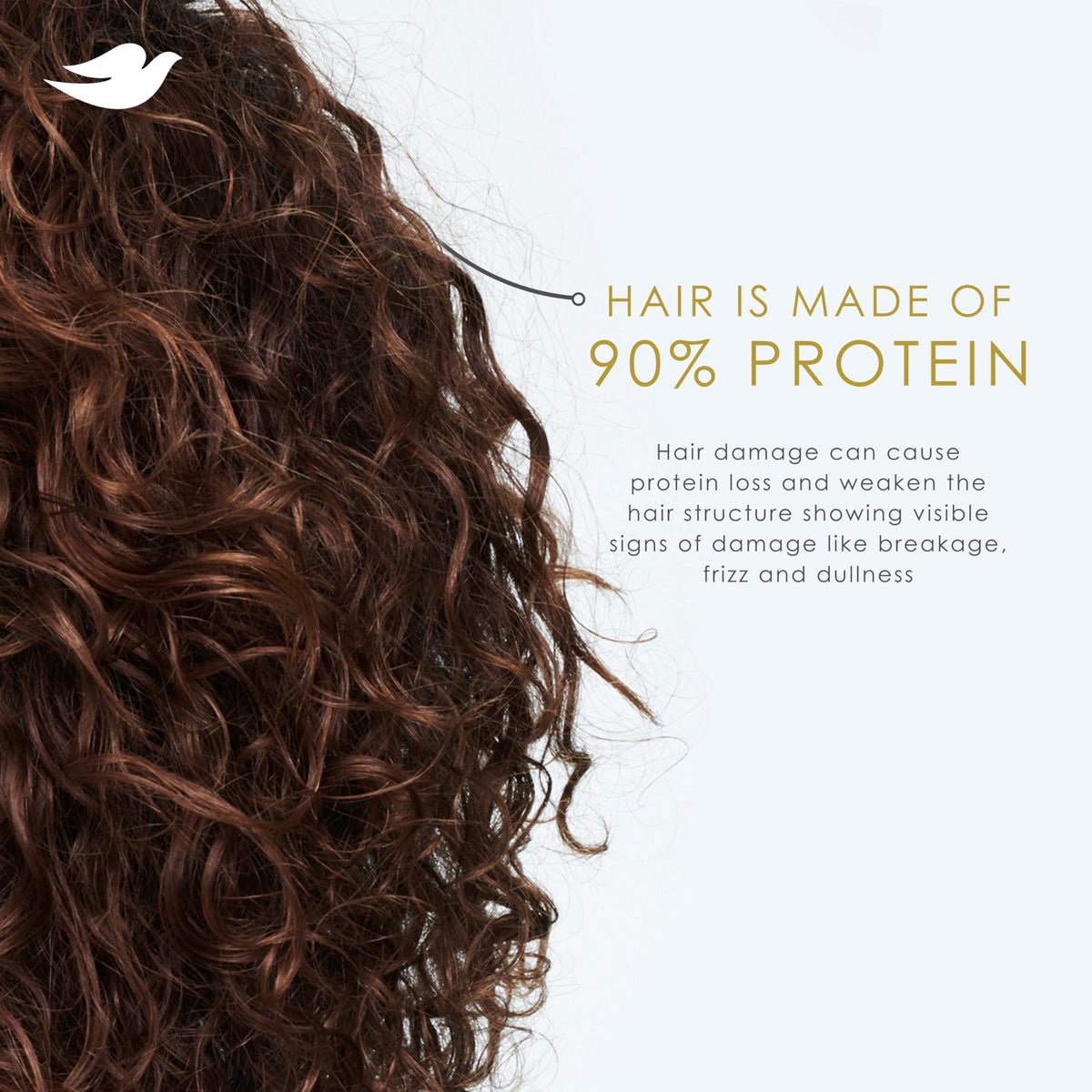 Shampoo and Conditioner 28 Fl oz B18650