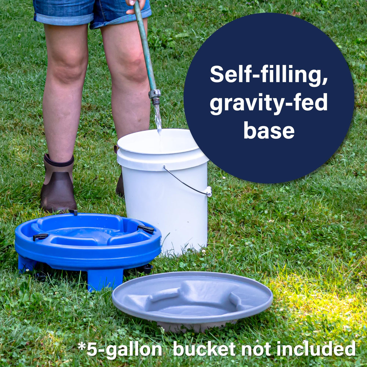 5 Gallon Chicken Waterer F189044